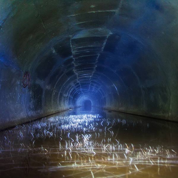 Pflanzenwuchs im Wasser