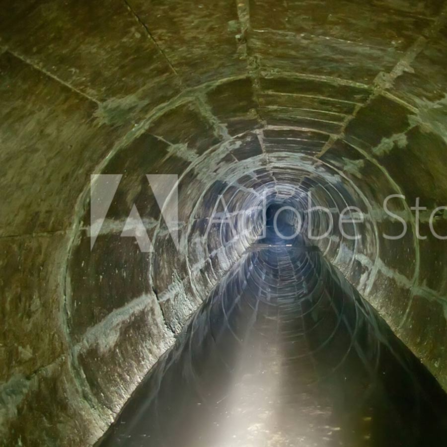 Algen an den Wänden