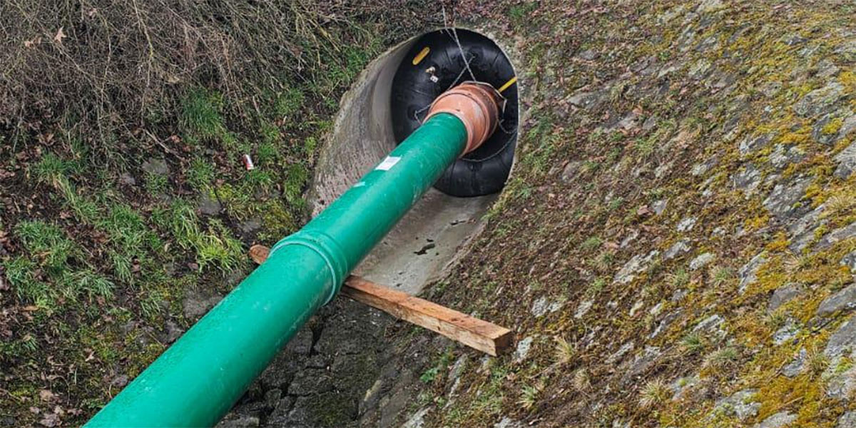 Thürer Wiesen Update